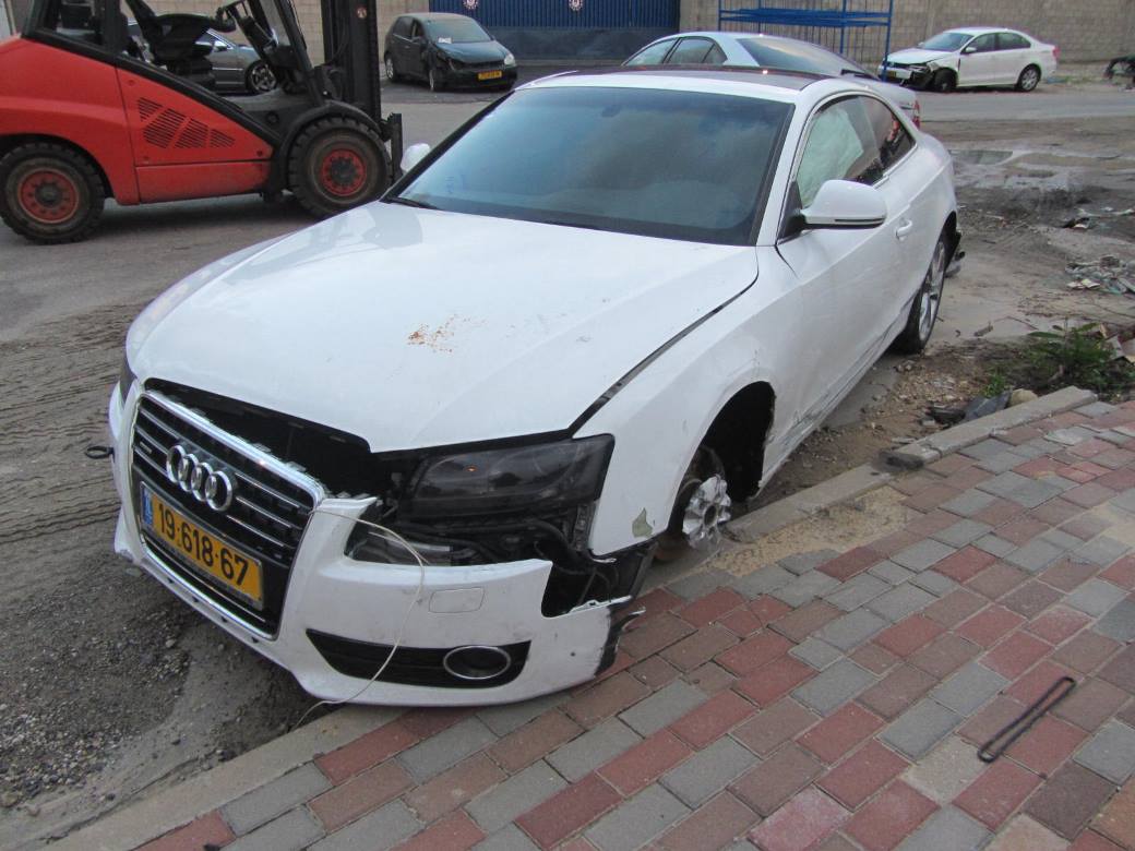 תמונת חלף