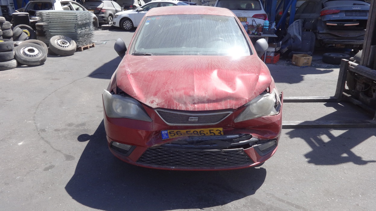 תמונת חלף