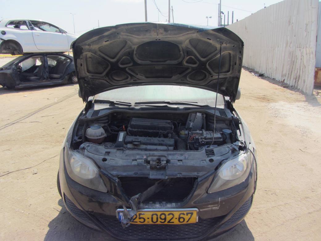 תמונת חלף