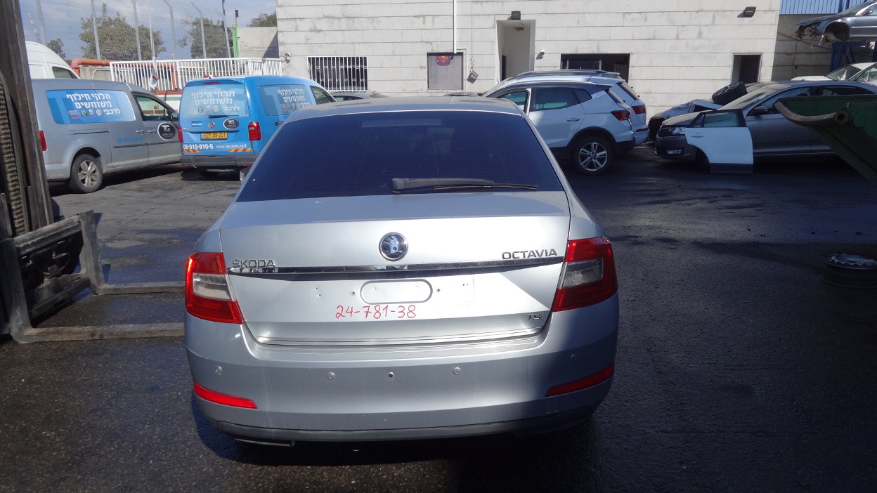 תמונת חלף