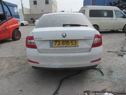 תמונת חלף