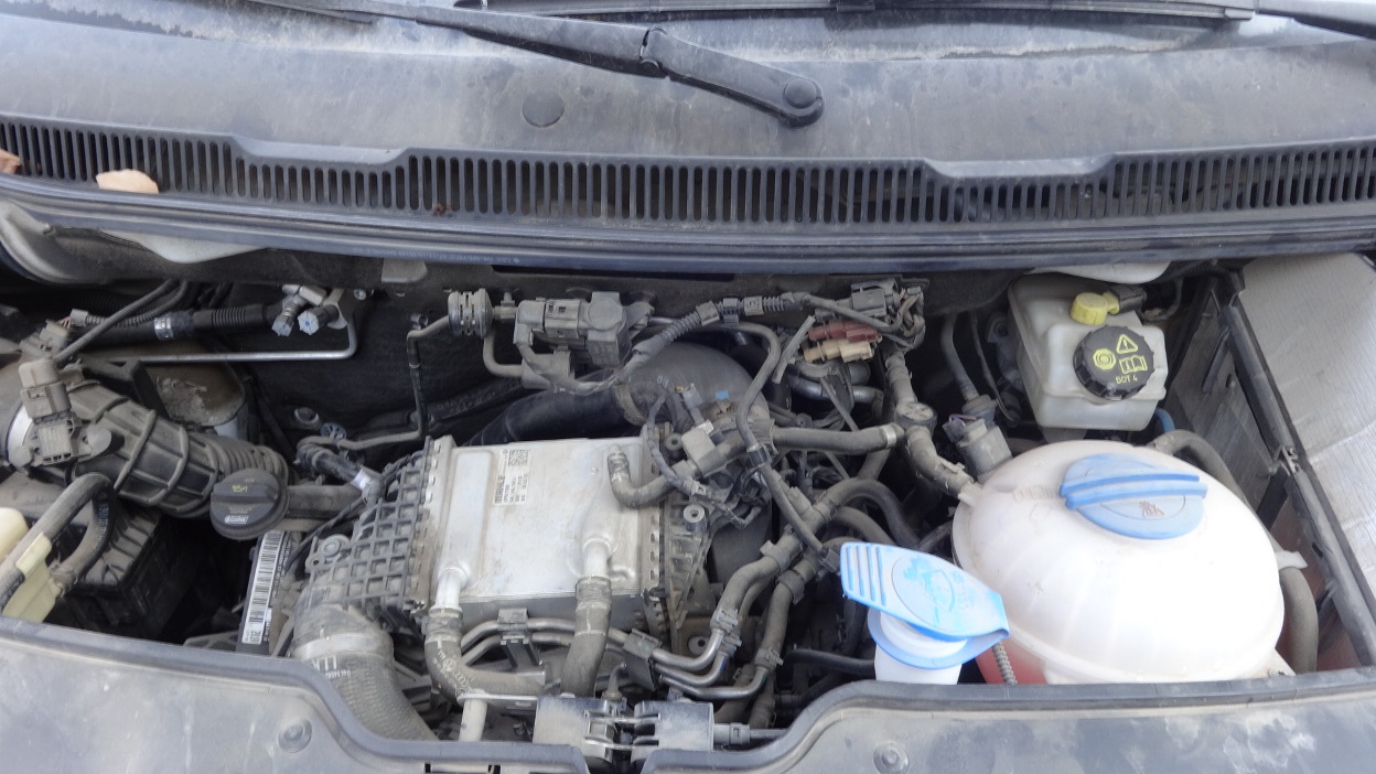 תמונת חלף