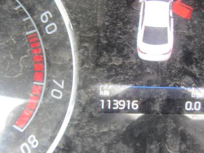 תמונת חלף
