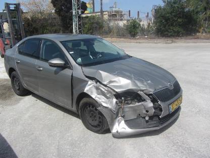 תמונת חלף