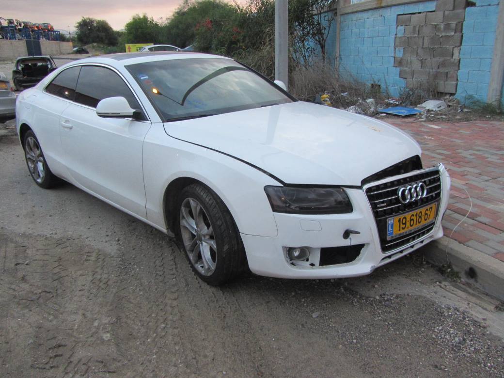 תמונת חלף