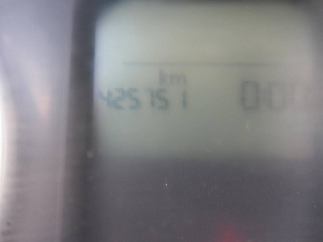 תמונת חלף