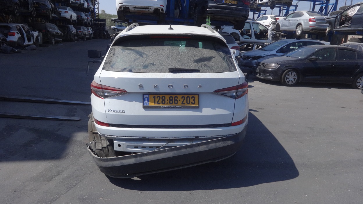 תמונת חלף