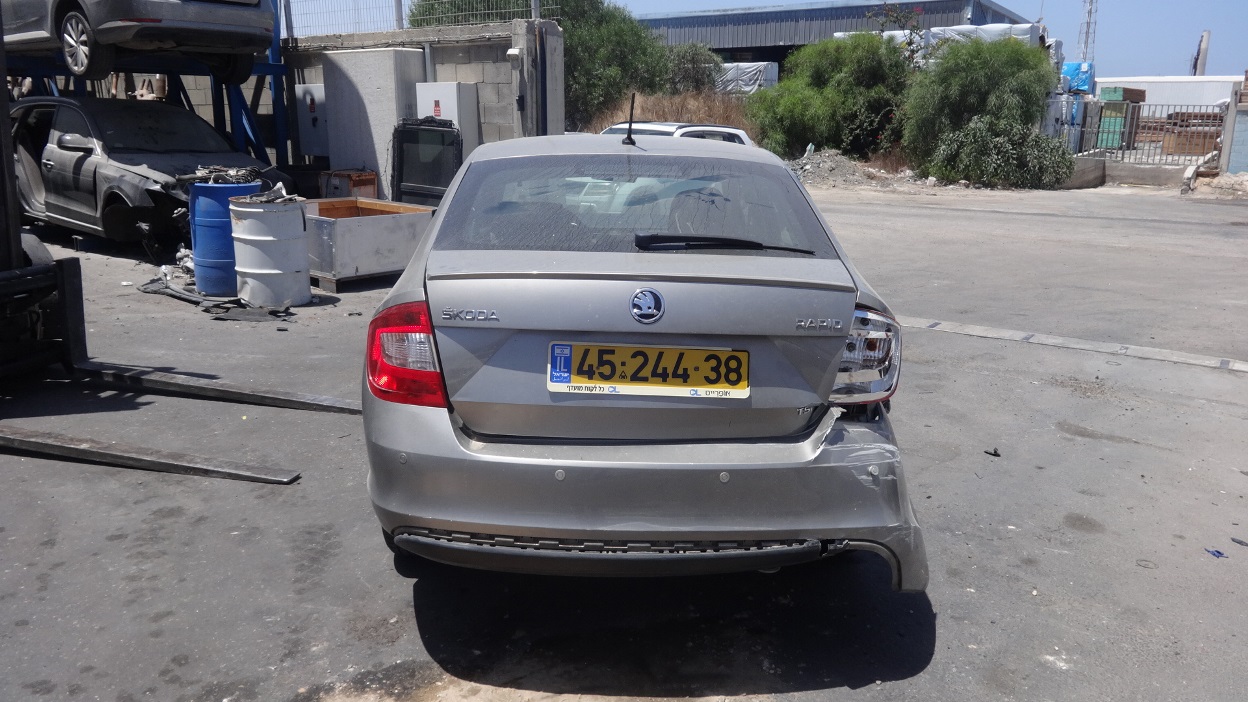 תמונת חלף