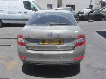 תמונת חלף