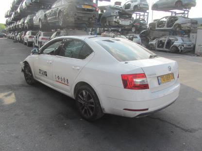 תמונת חלף
