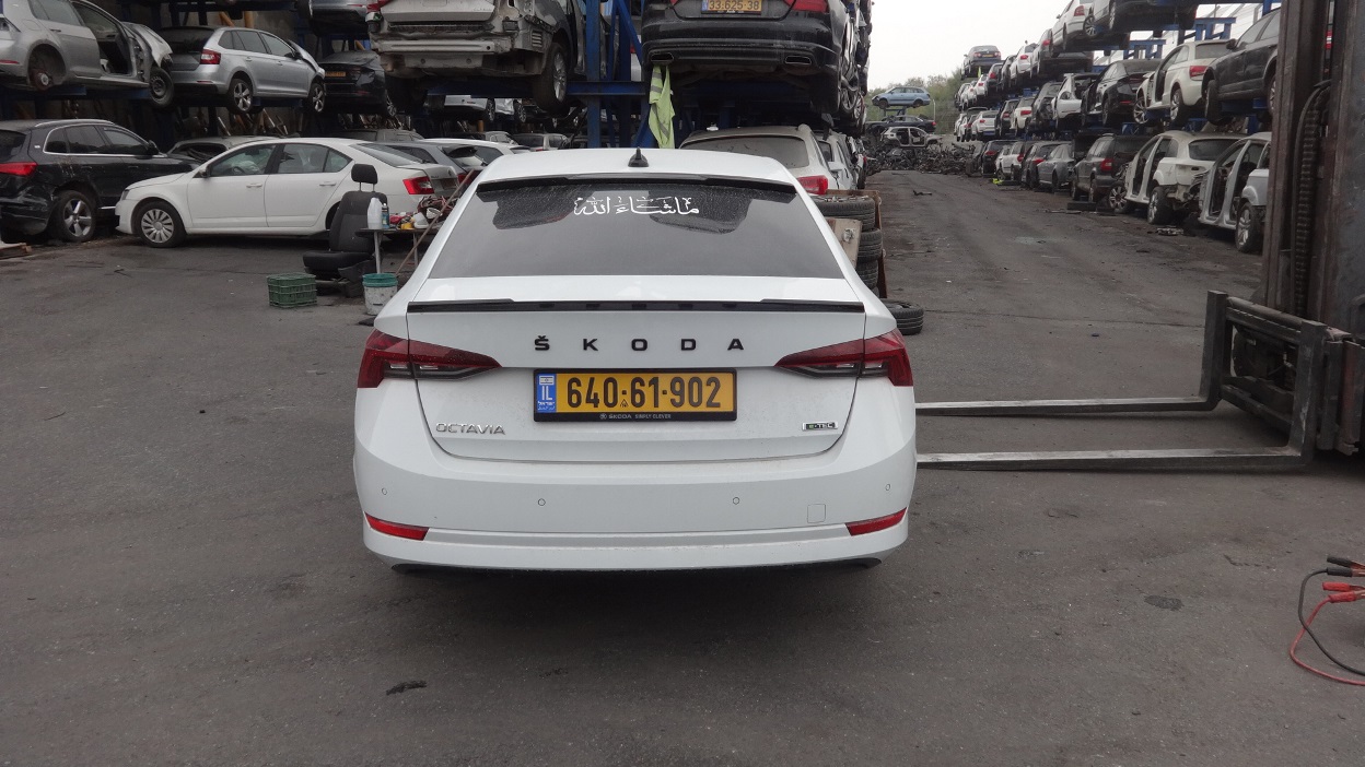 תמונת חלף