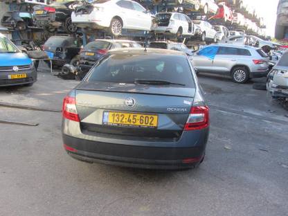תמונת חלף