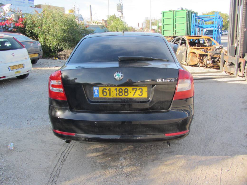 תמונת חלף