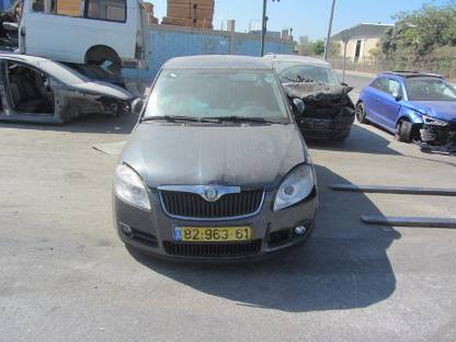 תמונת חלף
