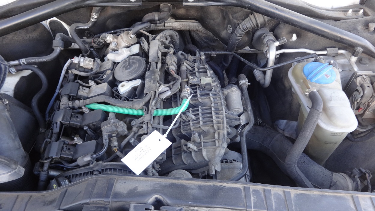 תמונת חלף