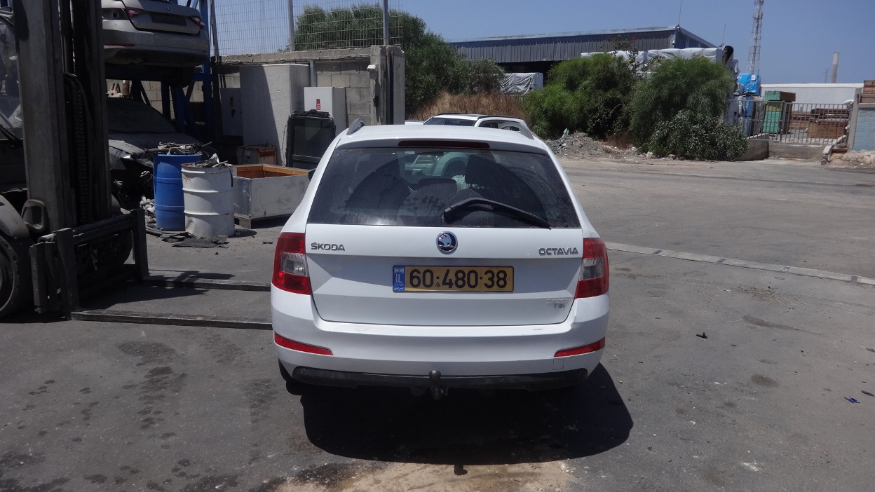 תמונת חלף