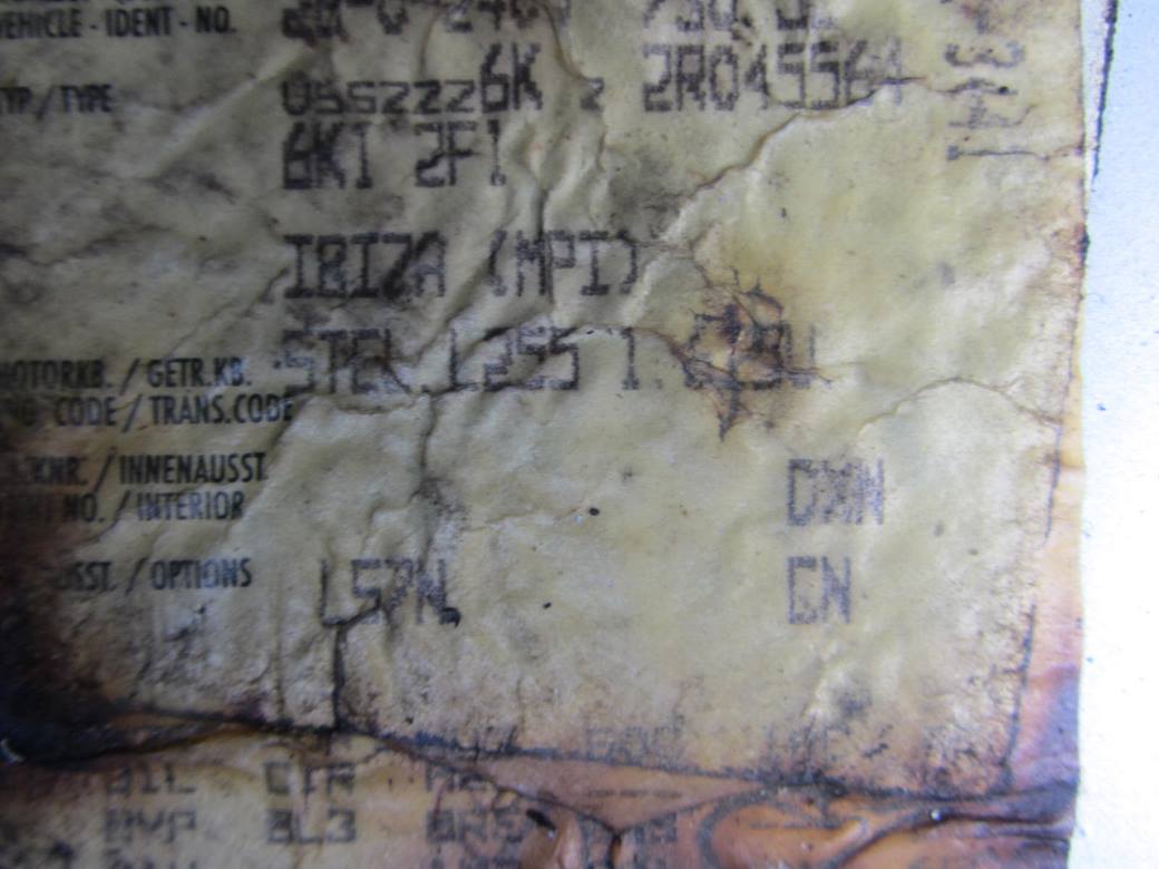 תמונת חלף