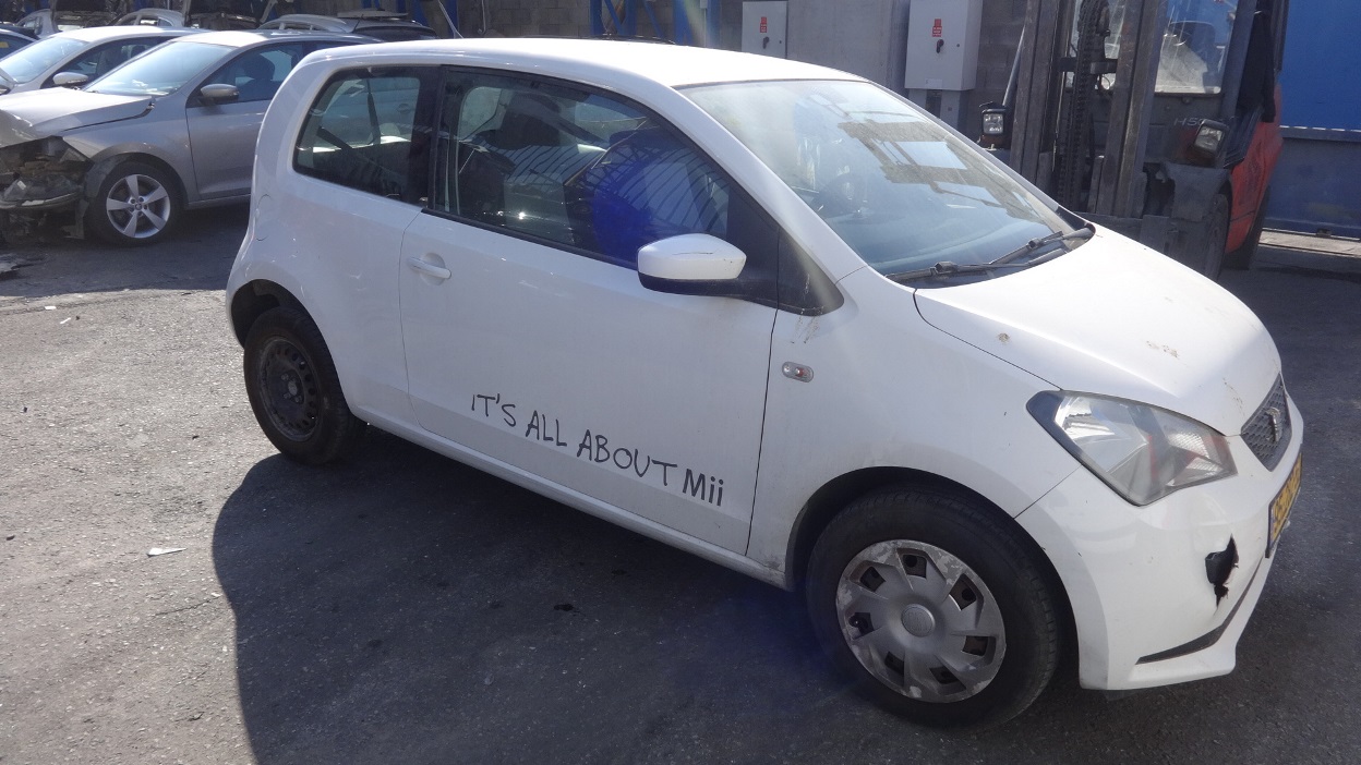 תמונת חלף